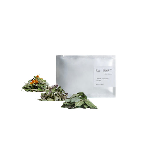 ホワイト-no-color