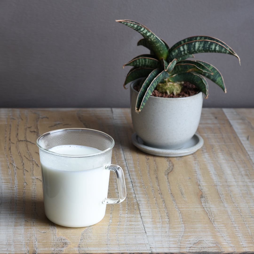 CAST ミルクマグ 310ml – KINTO